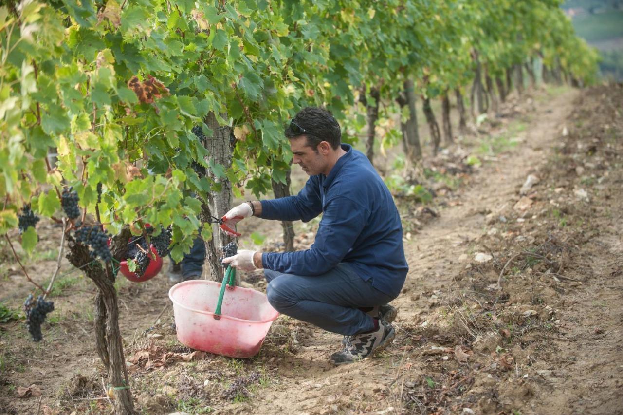 بانسانو La Valletta Boutique Wine Estate المظهر الخارجي الصورة