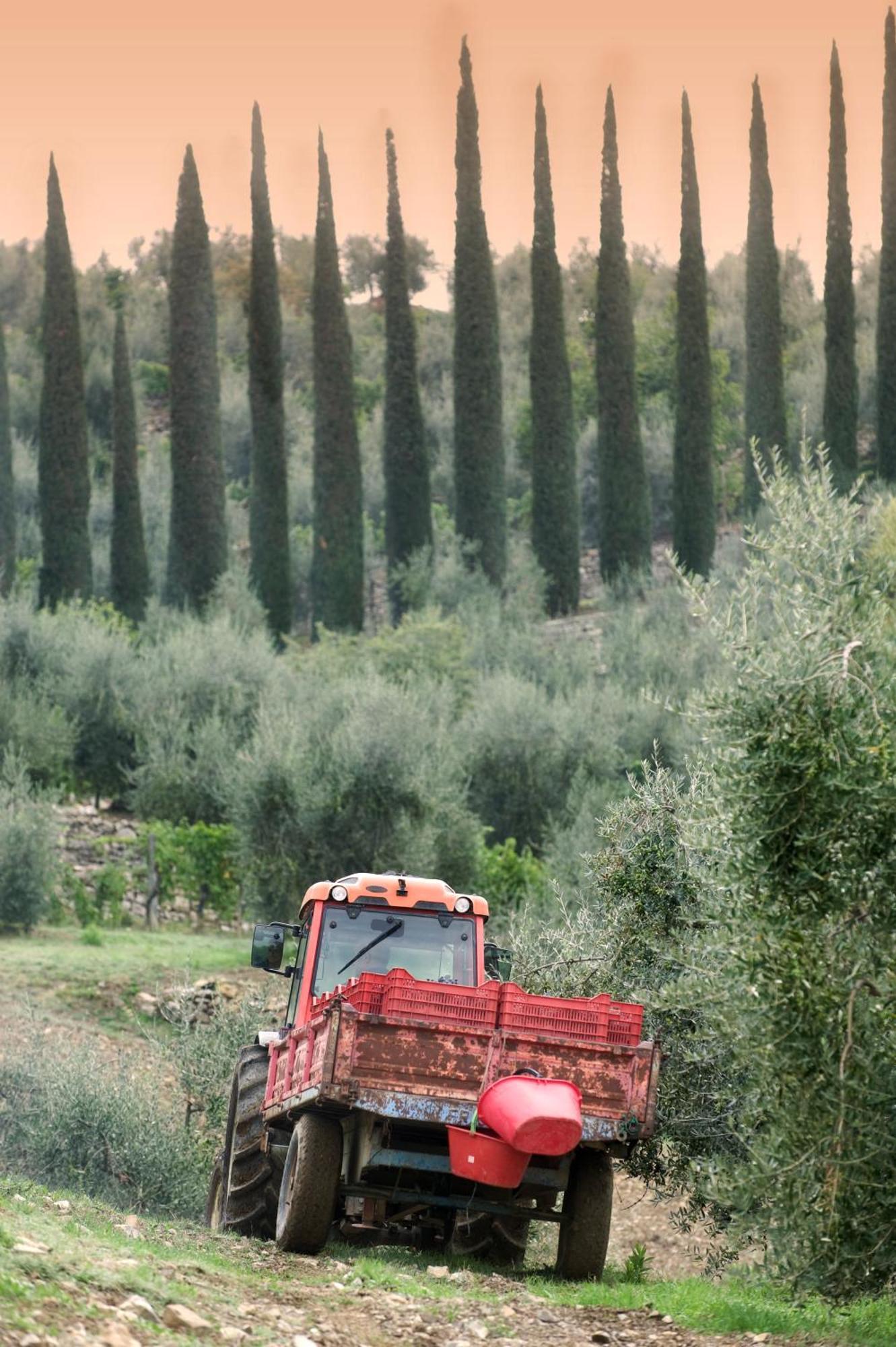 بانسانو La Valletta Boutique Wine Estate المظهر الخارجي الصورة
